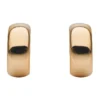 Classic Gold Hoop Earrings