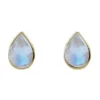 Cased Pear Moonstone Studs Gold