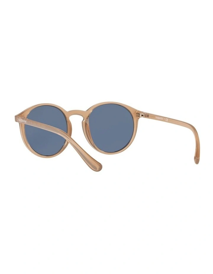 HU2019 Brown Sunglasses 6 HU2019 Brown Sunglasses - Image 6