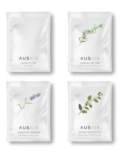 Mask Foam Filters 4 Piece Pack