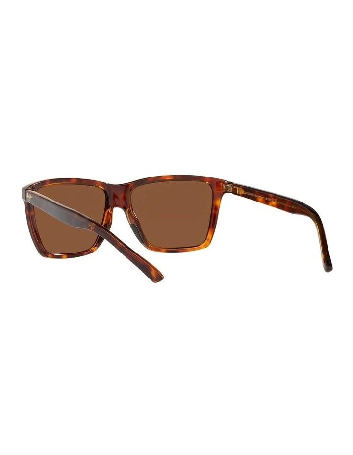 Maui Jim Cruzem Tortoise Polarised Sunglasses 6 Maui Jim Cruzem Tortoise Polarised Sunglasses - Image 6