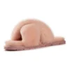 Sheepskin Wool Brighton Pale Pink Slippers