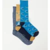 Summer Socks 3 Pack Gift Box In Multi