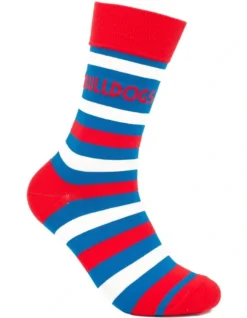 Western Bulldogs Heritage Stripe 2 Pack Cotton Socks In Blue 5 Western Bulldogs Heritage Stripe 2 Pack Cotton Socks In Blue -Myer Clothing Shop 928578880 3 720x928