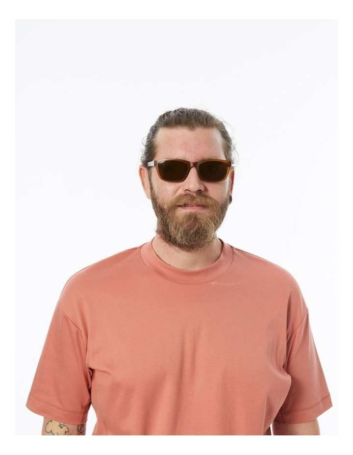 Sunglasses With Polarised Lenses In Brown 2 Sunglasses With Polarised Lenses In Brown - Image 2