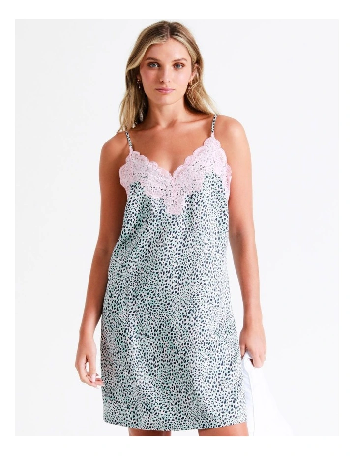 Chloe & Lola Animal Lace Chemise In Assorted 1 Chloe & Lola Animal Lace Chemise In Assorted