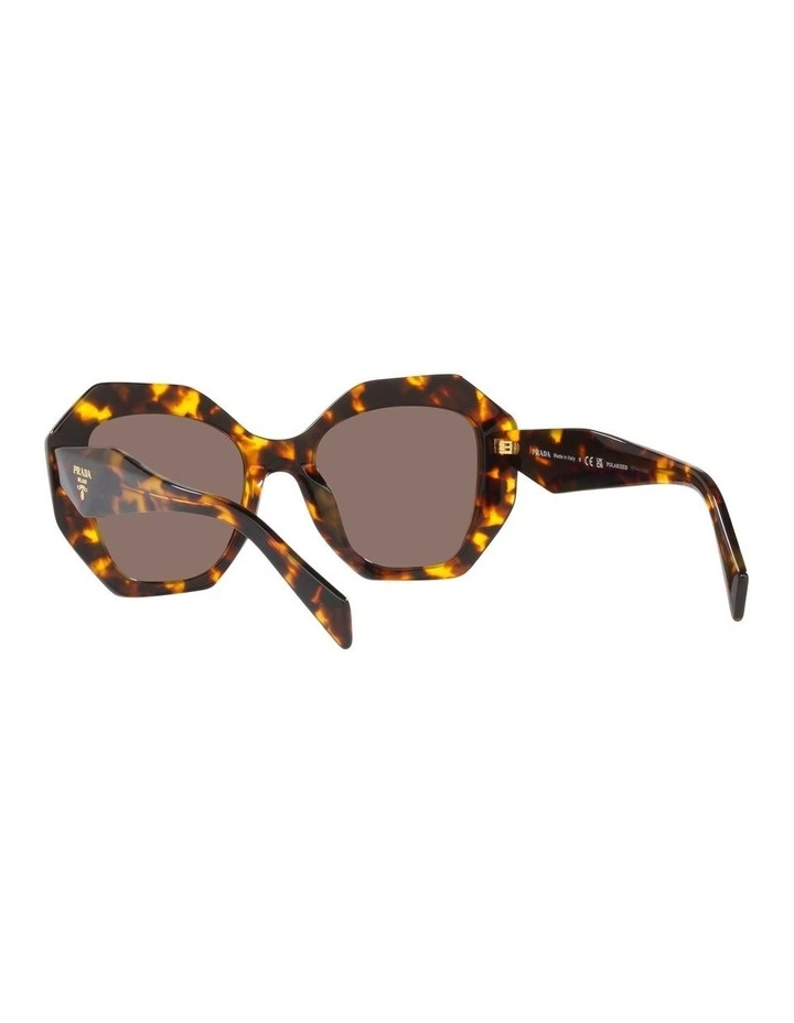 Prada 0PR 16WS Polarised Sunglasses In Honey Tortoise 6 Prada 0PR 16WS Polarised Sunglasses In Honey Tortoise - Image 6
