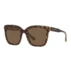 Michael Kors San Marino Sunglasses In Brown