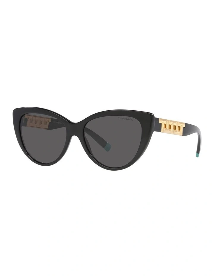 Tiffany & Co. 0TF4196F Sunglasses In Black 1 Tiffany & Co. 0TF4196F Sunglasses In Black