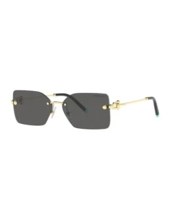 Tiffany & Co. 0TF3088 Sunglasses In Pale Gold