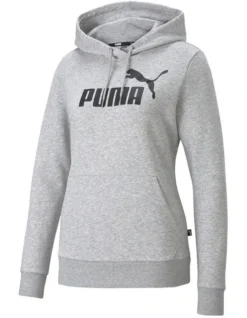 Puma Essential Logo Hoodie In Grey
