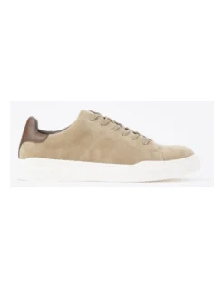 Craig Sneaker In Taupe