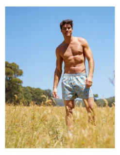 3 Pack Airedales & Scotties Cotton Boxer Short In Multi 11 3 Pack Airedales & Scotties Cotton Boxer Short In Multi -Myer Clothing Shop 968895640 5 720x928