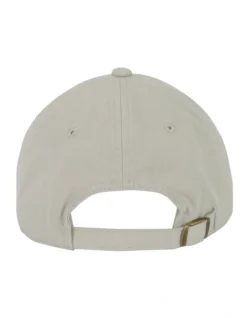 AMERICAN NEEDLE Big Bear Ball Park Cap In Stone Grey -Myer Clothing Shop 970755220 4 720x928