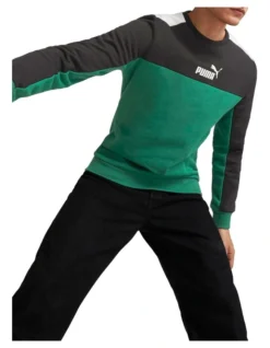 Puma Essential Block Crew Fleece In Green -Myer Clothing Shop 980333650 3 720x928