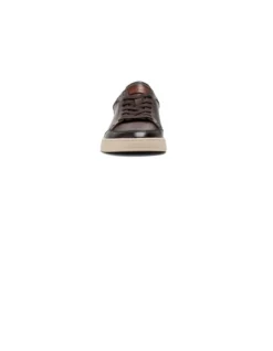 Sussex Street Sneaker In Brown 11 Sussex Street Sneaker In Brown -Myer Clothing Shop 985617910 5 720x928