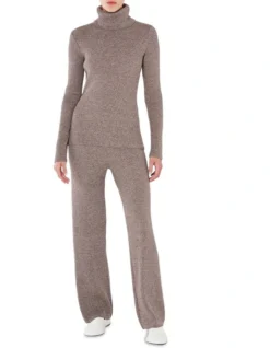 Merino Wool Rib Turtle Neck In Brown